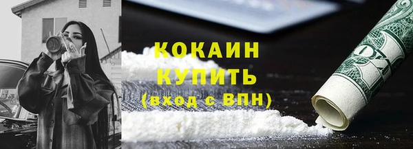 шишки Аркадак