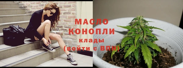 шишки Аркадак
