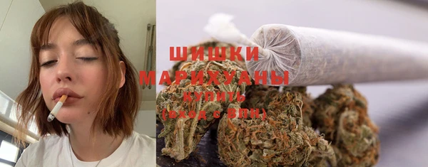 шишки Аркадак