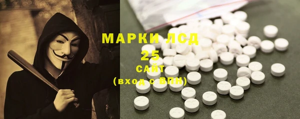 шишки Аркадак