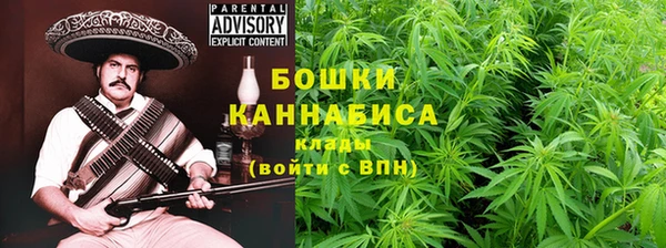 шишки Аркадак