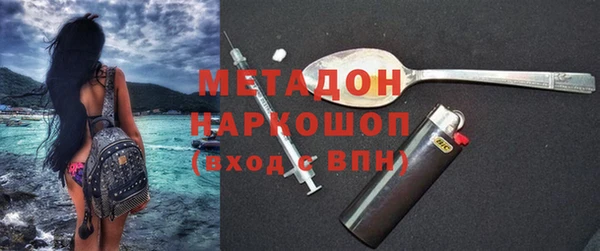 шишки Аркадак