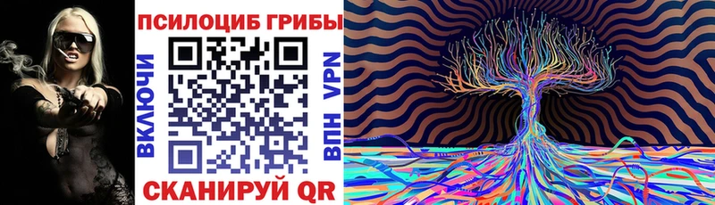 цена наркотик  Суровикино  дарк нет телеграм  Псилоцибиновые грибы MAGIC MUSHROOMS 